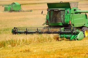 agriculture_80750d3b75c69d2e8d3af926a347bc34